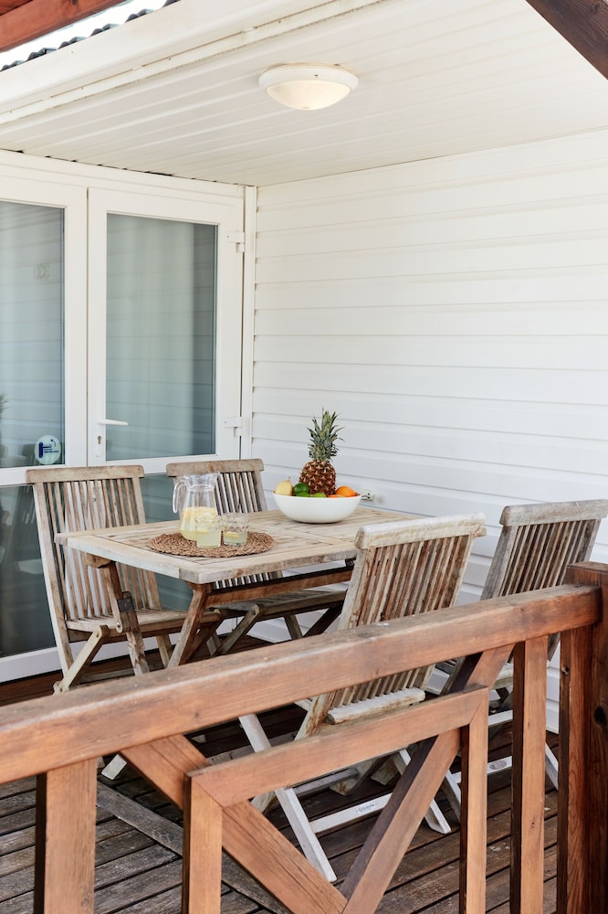 taiga delta de lebre