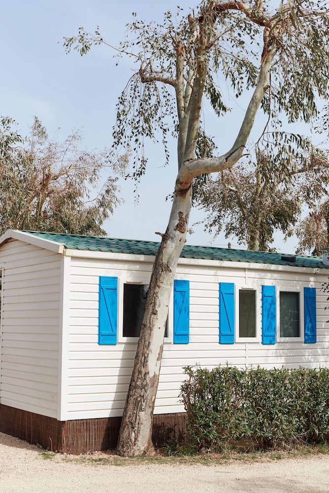 taiga delta de lebre