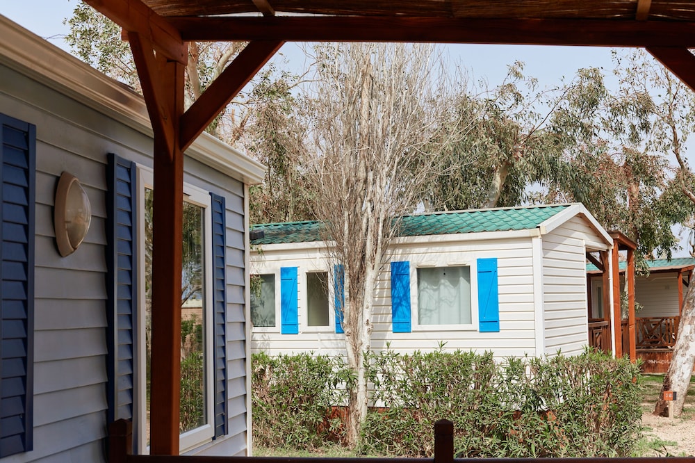 taiga delta de lebre