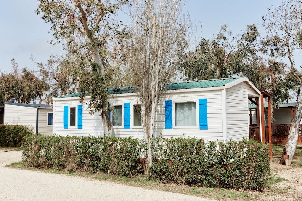 taiga delta de lebre