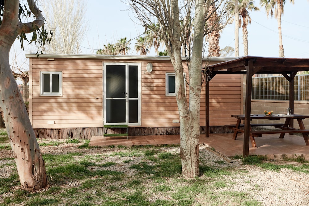 taiga delta de lebre