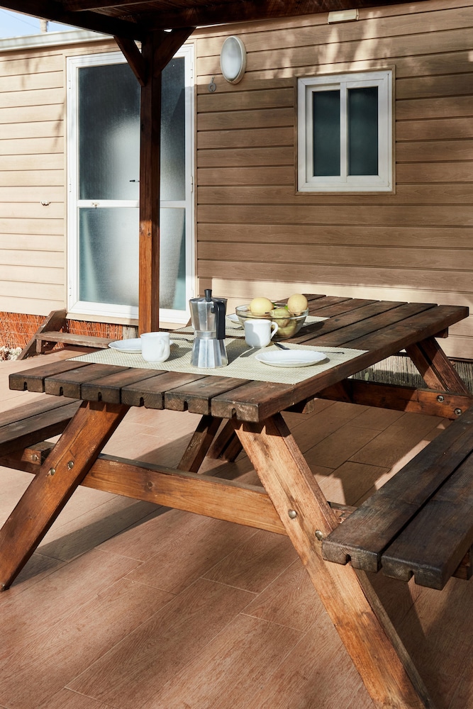 taiga delta de lebre