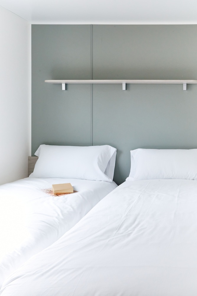 taiga delta de lebre