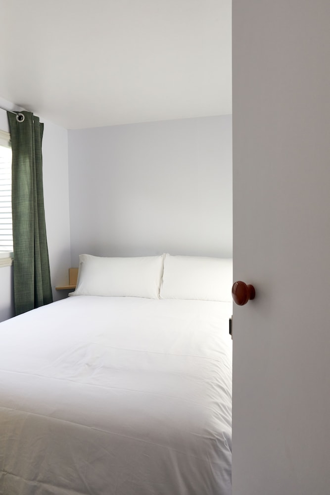 taiga delta de lebre