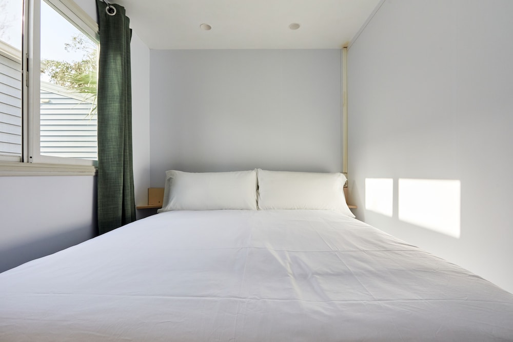 taiga delta de lebre