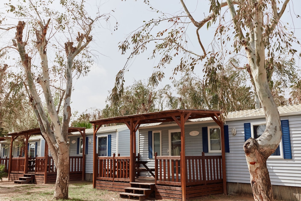 taiga delta de lebre