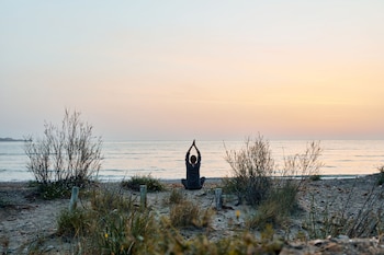 taiga delta de lebre