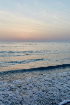 taiga delta de lebre