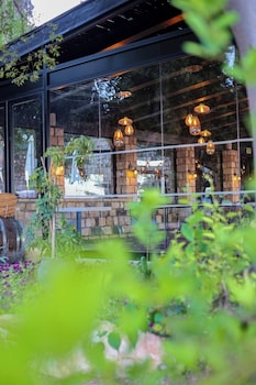 Pina Barosh,Galilee>>Amuka,1 star