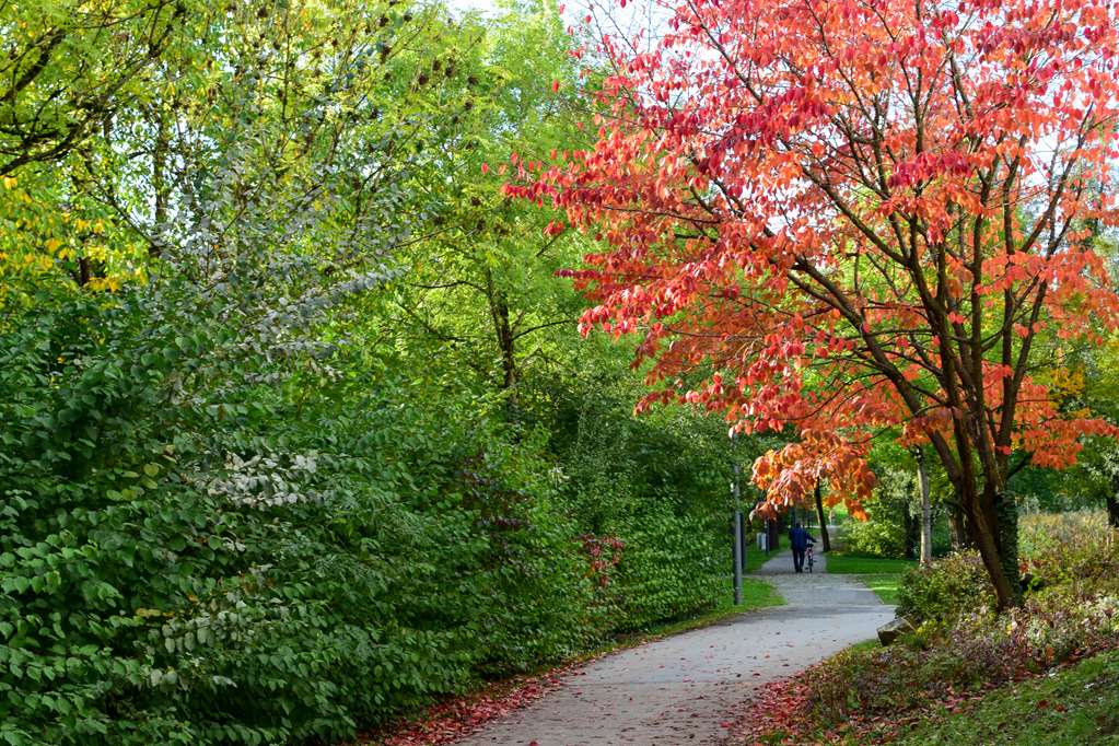 scotty paul hotel deggendorf