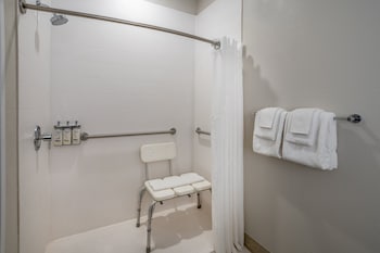 Holiday Inn Express And Suites Salisbury Delmar,Millsboro>>Delmar,3 star