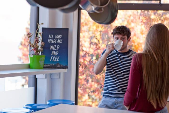 absoloot hostel queenstown