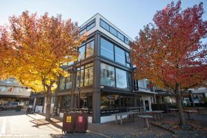 absoloot hostel queenstown