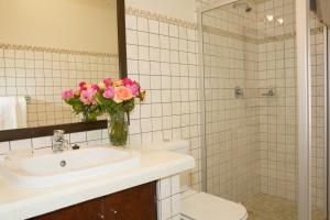 an der mole sef catering apartment self catering