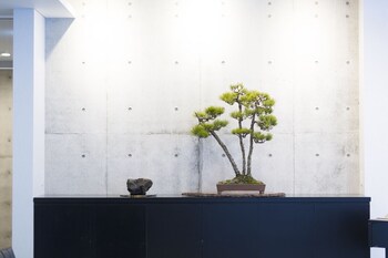 namari onsen kokoronotoki jusangatsu