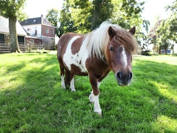 koudekerk aan den rijn
