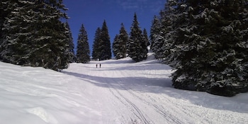 cerklje na gorenjskem