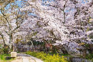 kyoto
