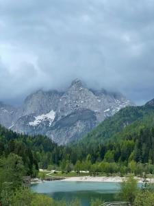 kranjska gora