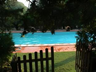 torres novas