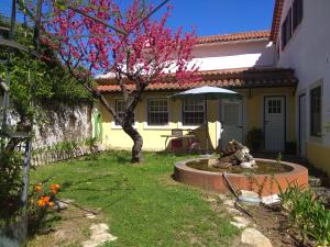 torres novas