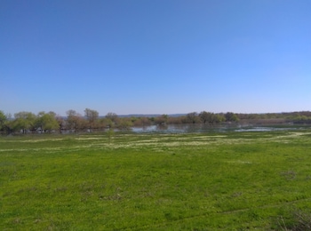 torres novas