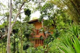 imbulpe
