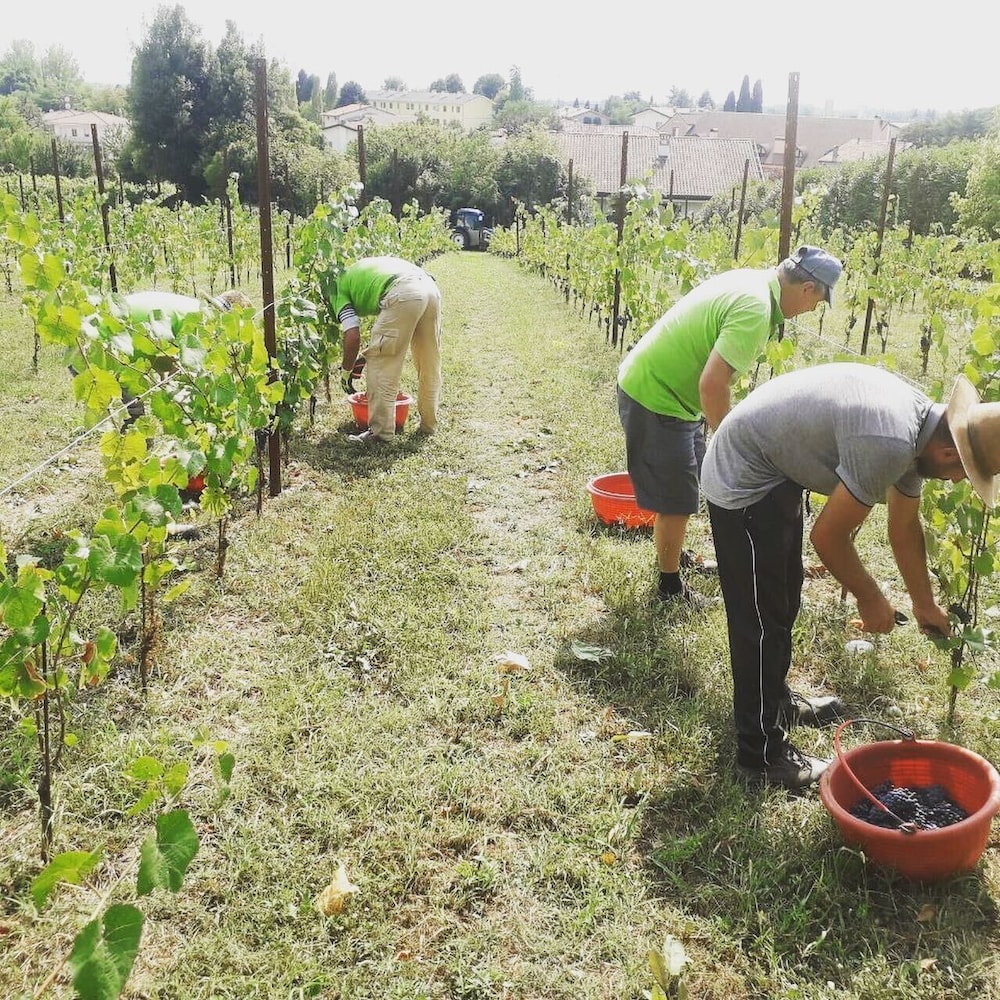 agriturismo scacciapensieri