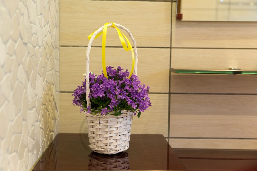 affittacamere serena