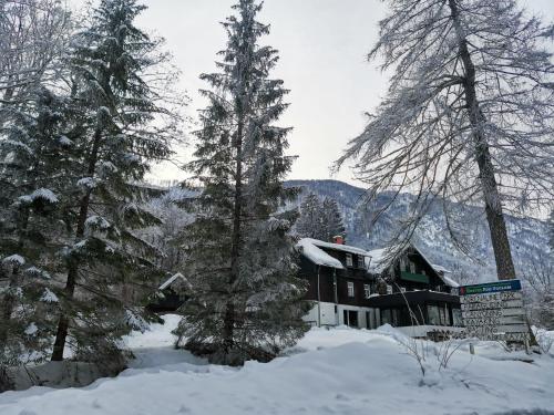 hostel pod vologom