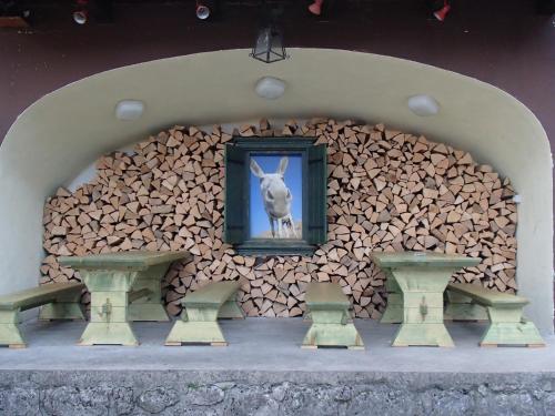 bohinj