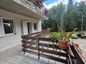 bohinj