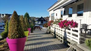 haugesund