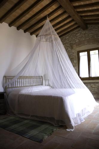 campiglia marittima
