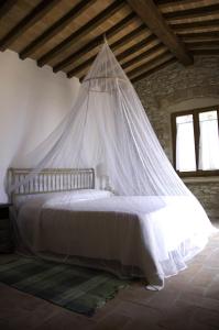 campiglia marittima