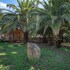 campiglia marittima