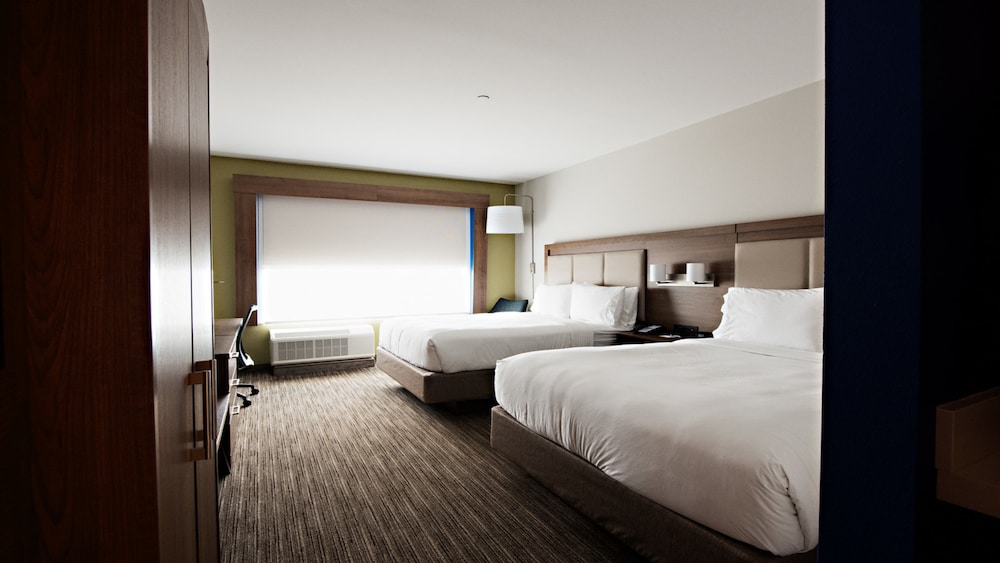 holiday inn express and suites houston sw galleria area