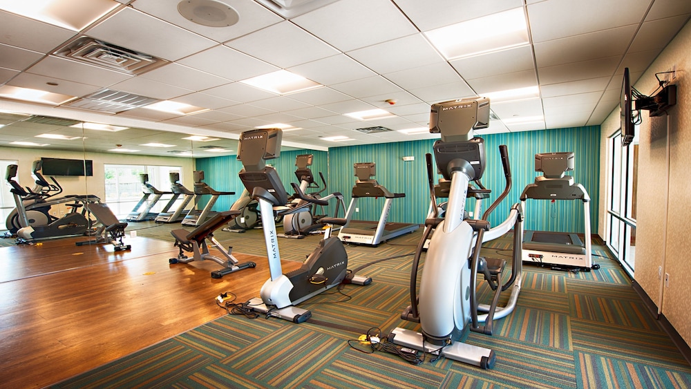 holiday inn express and suites houston sw galleria area