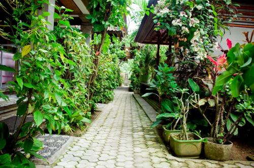 pondok bulan mas