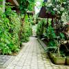 pondok bulan mas