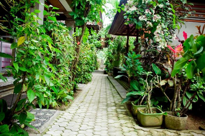 pondok bulan mas