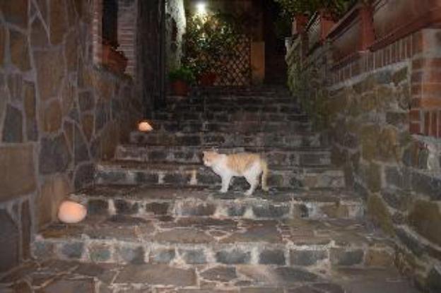 la vecchia taverna bandb