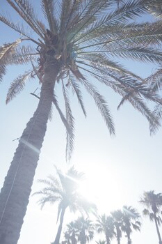 aqualand hotel and resort