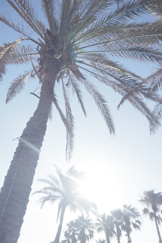 aqualand hotel and resort