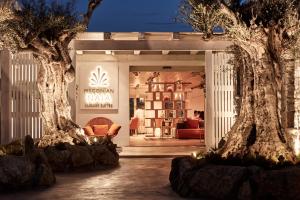 myconian naia preferred hotels and resorts