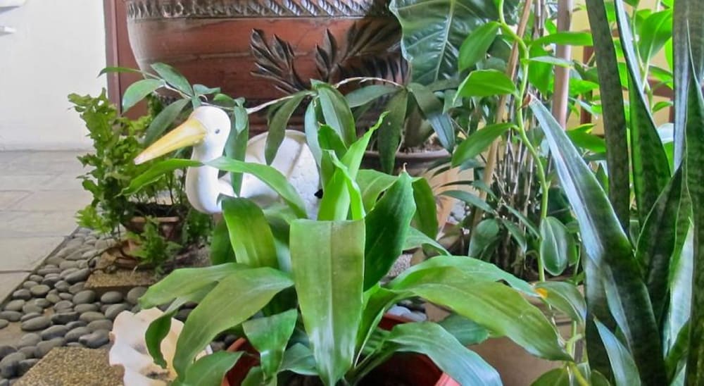 akinabalu youth hostel