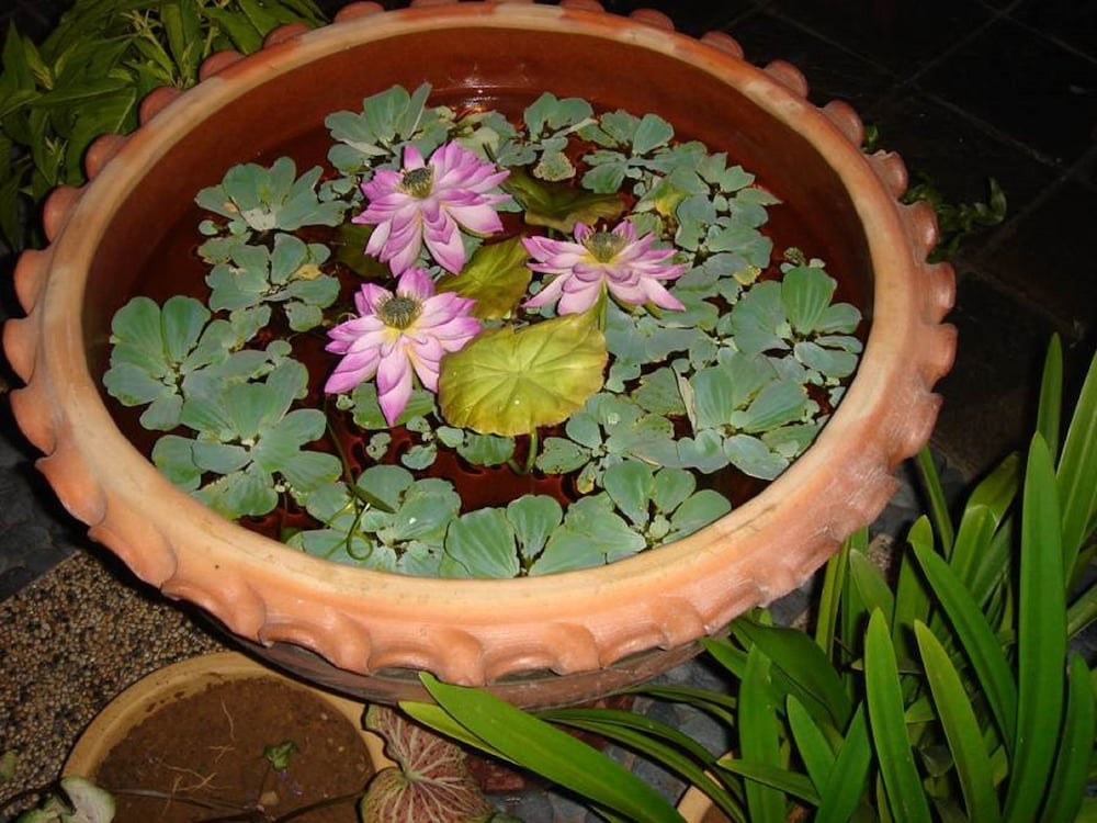 akinabalu youth hostel