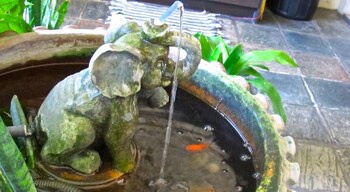 akinabalu youth hostel