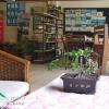 akinabalu youth hostel
