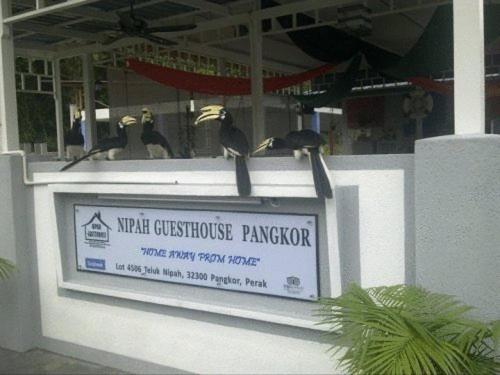 nipah guesthouse pangkor